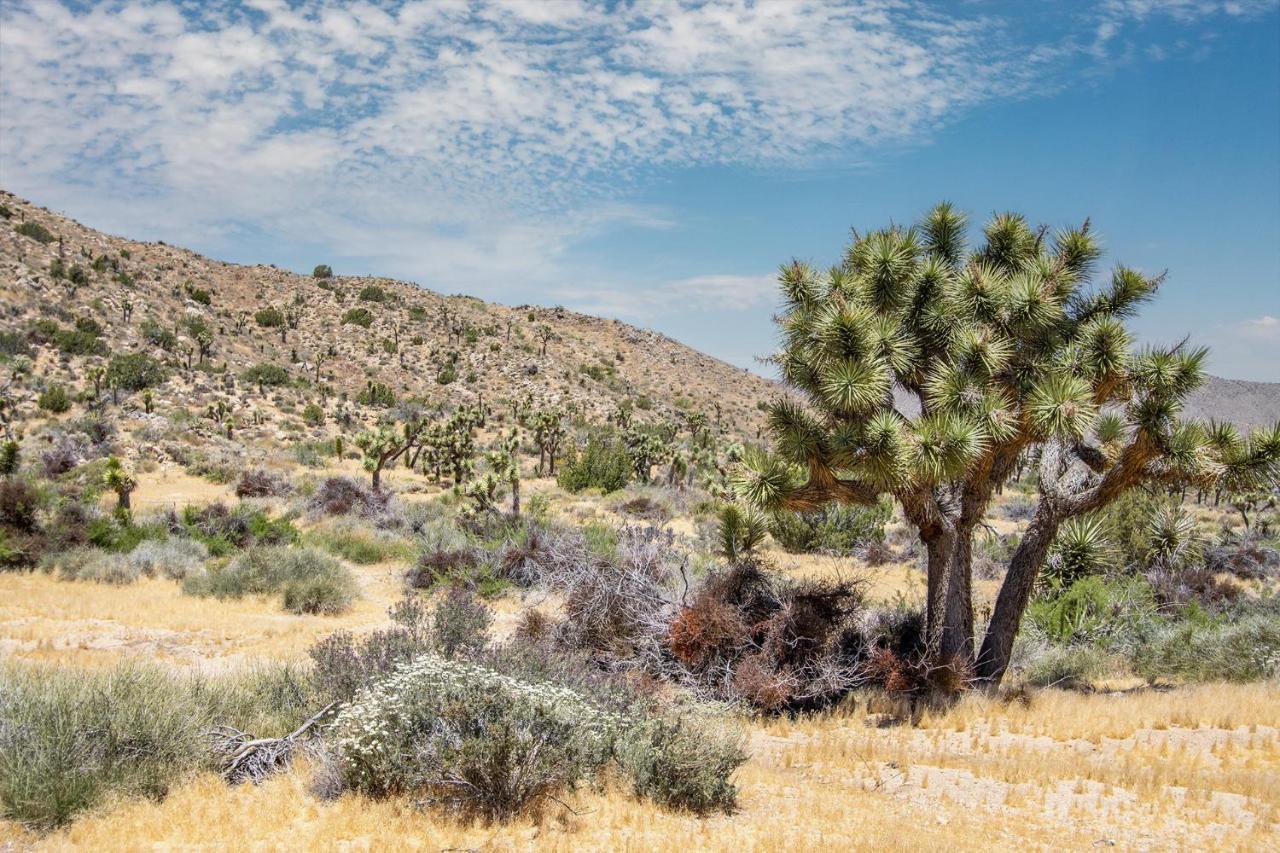Peaceful Home With Nature Views & Trail Access Yucca Valley Esterno foto