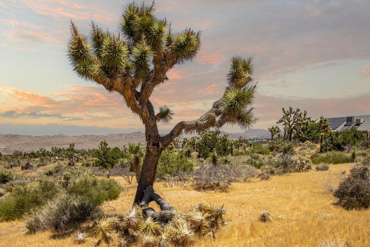 Peaceful Home With Nature Views & Trail Access Yucca Valley Esterno foto
